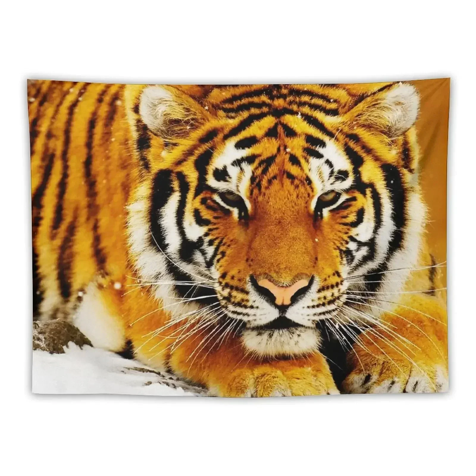 

Siberian Tiger Tapestry Home Supplies Cute Decor Aesthetic Home Decor Tapestry
