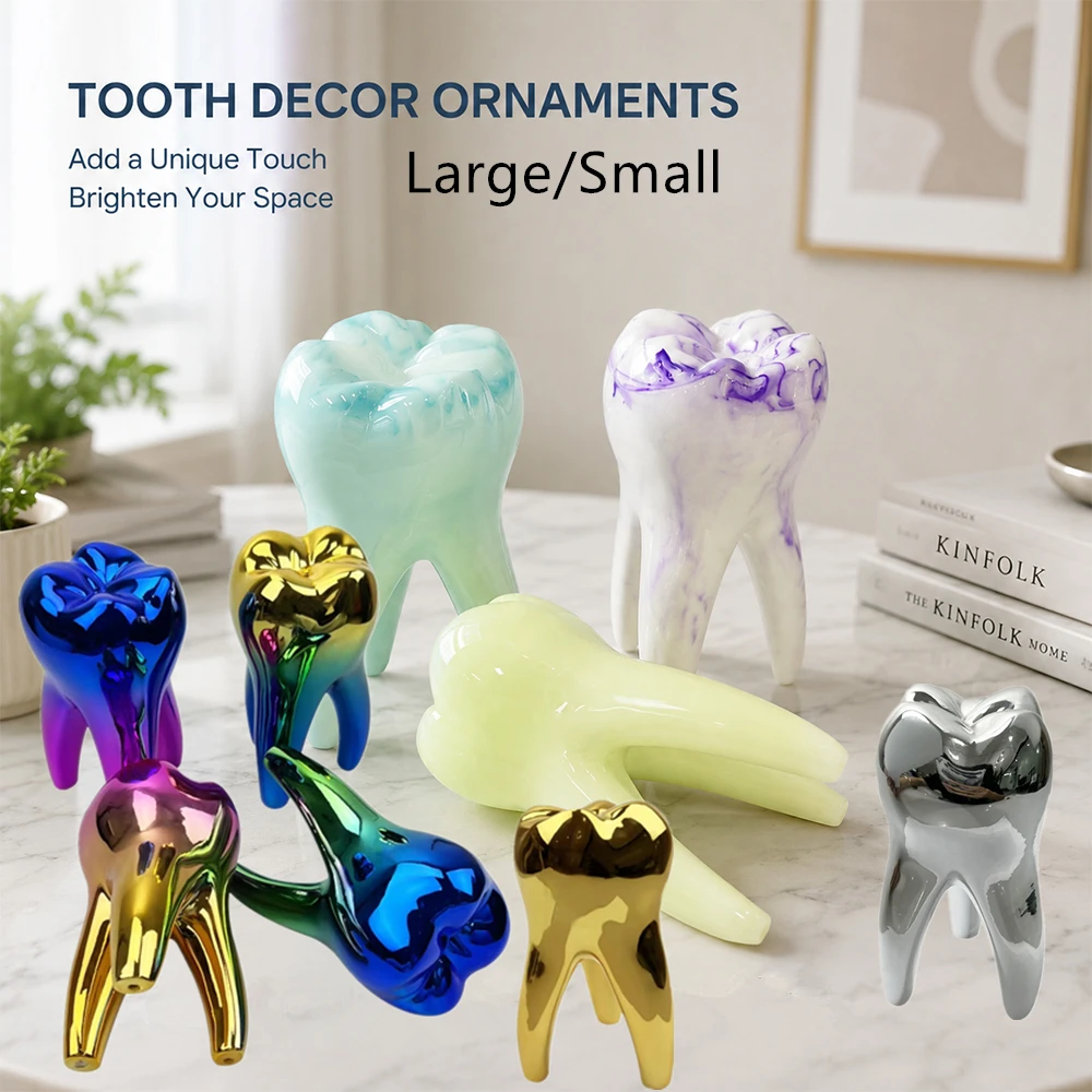 L S Resin Molar Teeth Model Figurines Ornament Dental Decoration Clinic Personalised Office Table Decor Dentist Accessories Gift