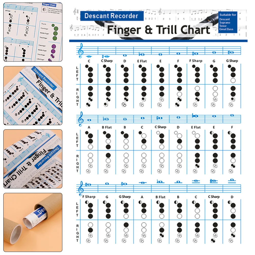 

Chord Chart for Beginner Students Chard Flute Practicing Poster Supplies Practice Guitars