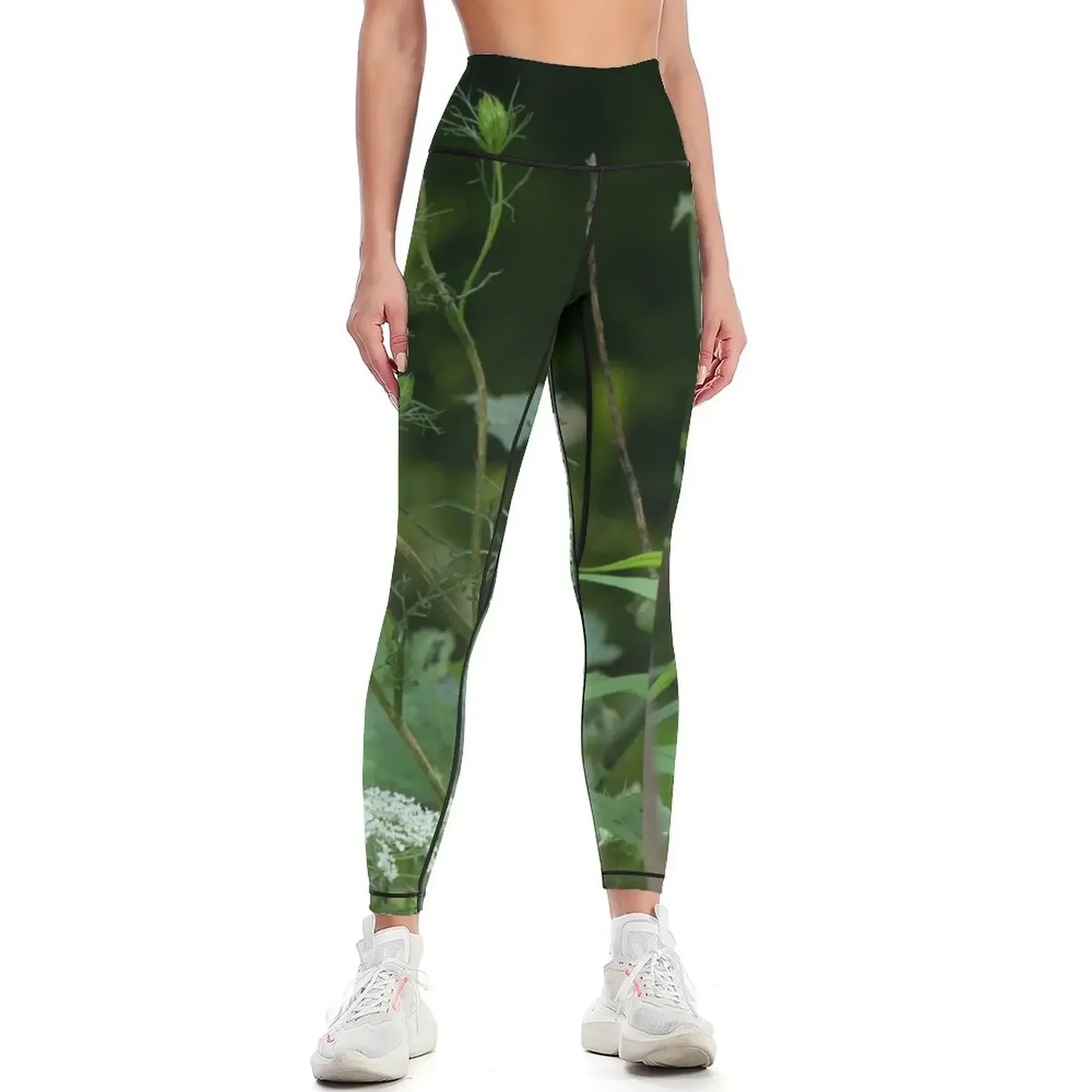 

Queen Anne's Lace Wildflower - Daucus carota Leggings legging gym high waist gym wear sporty woman gym Womens Leggings