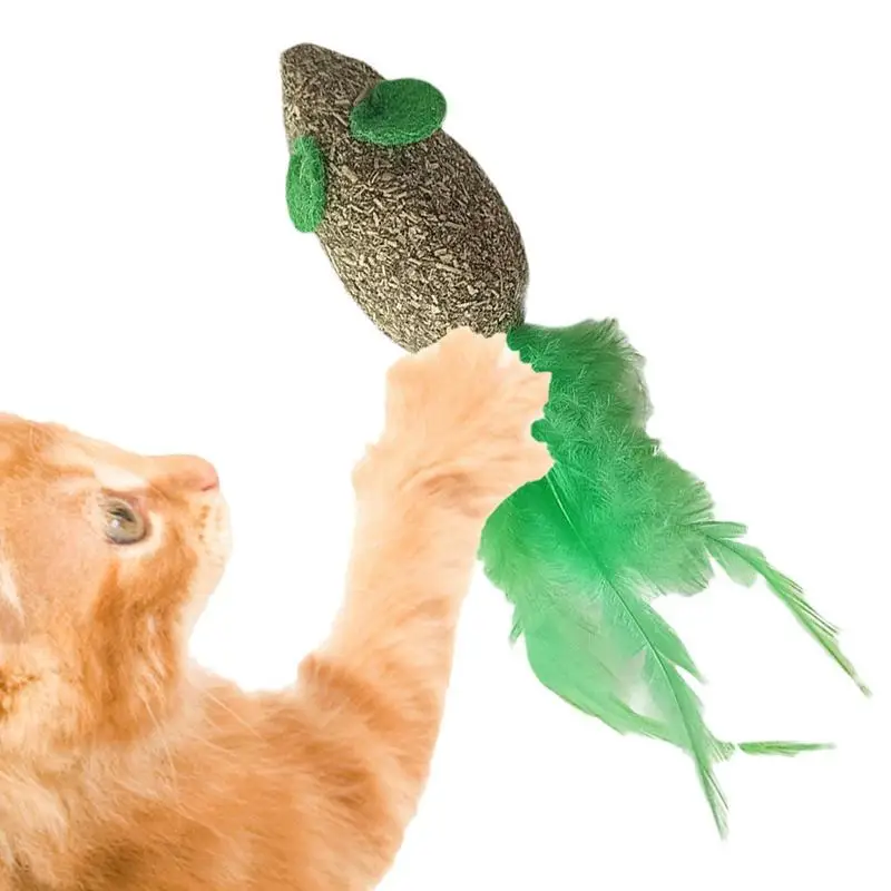 Catnip para brinquedos do gato brinquedos do gato com catnip brinquedos do gato gatinho brinquedos sortments desenhos animados estilo segurança comestível saudável catnip brinquedo do animal de estimação