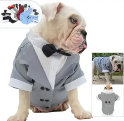 Formal Tuxedo Costume with Bow Tie for Dogs, Dog Suit, French Bulldog, English Bulldog, American Pit Bull