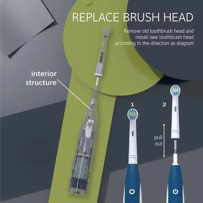 Sonic Electric Toothbrush Rounded 3D Vibrate Teeth Brush Rotation Gum Care Soft Bristle Heads Battery Power Teeth Whitening