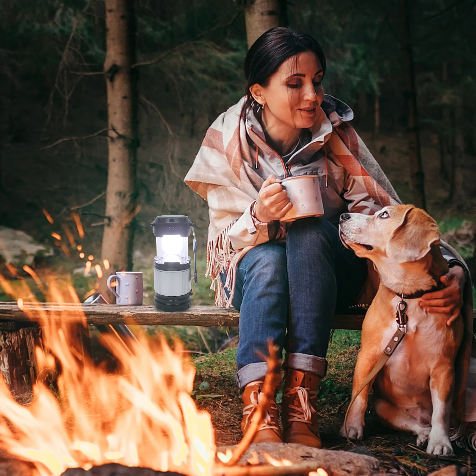 

1Pcs Solar Rechargeable Flashlight Lantern Portable Outdoor LED Camping Light Handheld Torch Hiking Backpacking Fishing Us Plug