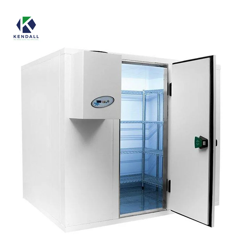 Refrigerador walk-in Recipiente de sala fria Refrigerador industrial de armazenamento de sala fria