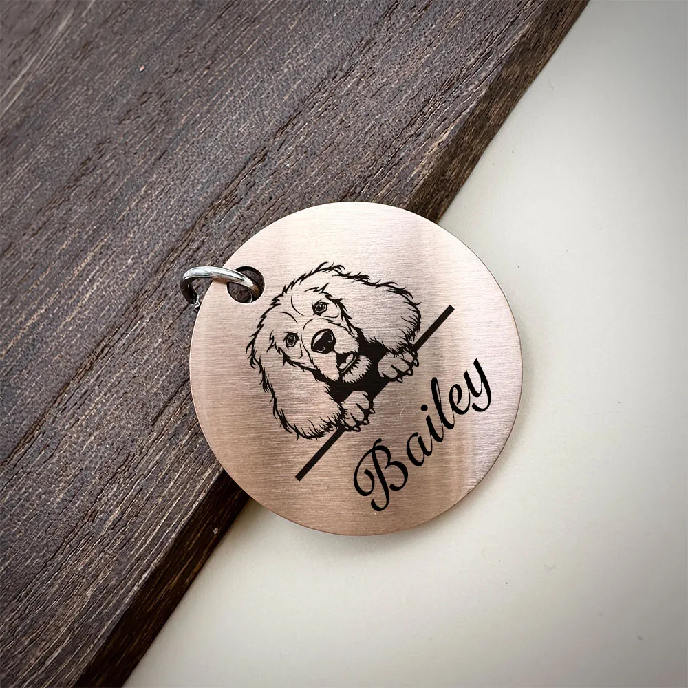 Matte Stainless Steel Personalized Pet ID Tags Engraving Puppy Anti-lost Collars Tag Dog Cat Name Pets Dog Accessories Supplies