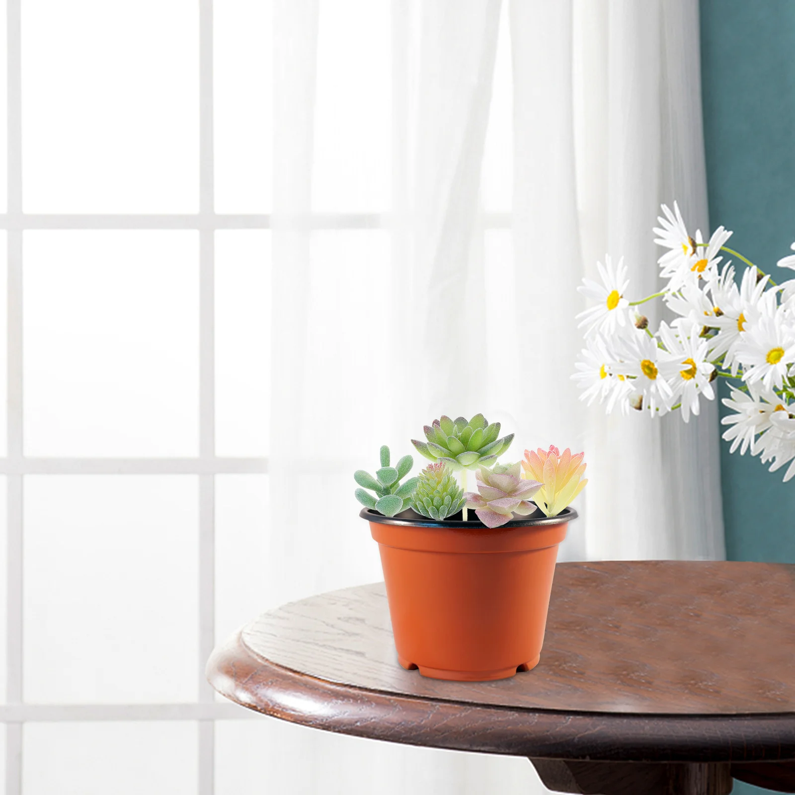 

6Pcs Lifelike Succulents Plant DIY Accessory Ideal for Home Hotels Clubs Restaurants Scene Layout Artificial Succulent Plant