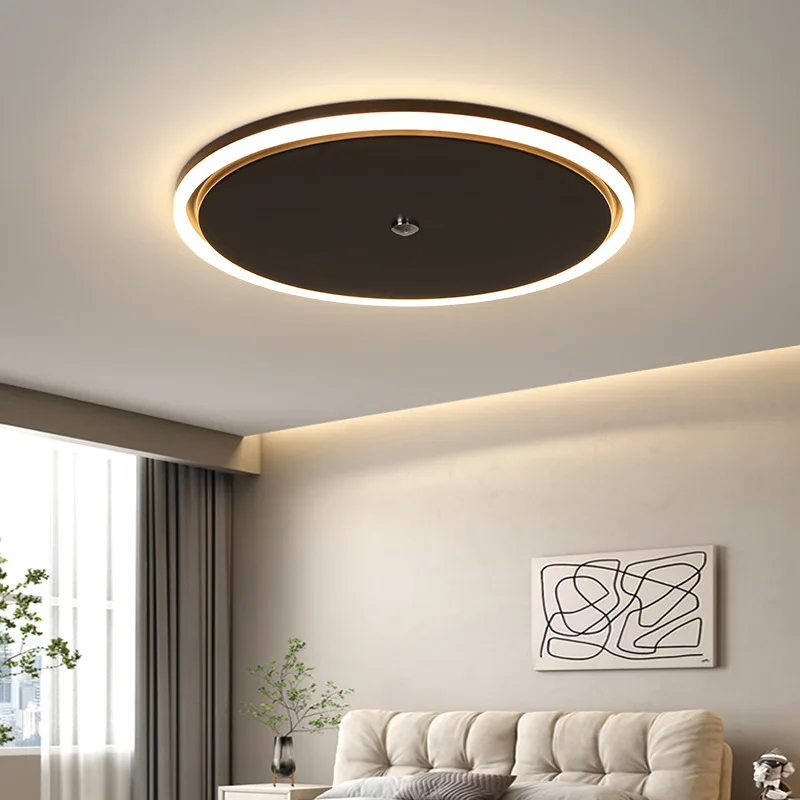

Light Luxury Minimalist Ceiling Light LED Living Room Restaurant Bedroom Ceiling Chandelier Creative Simple Home Ceiling Light