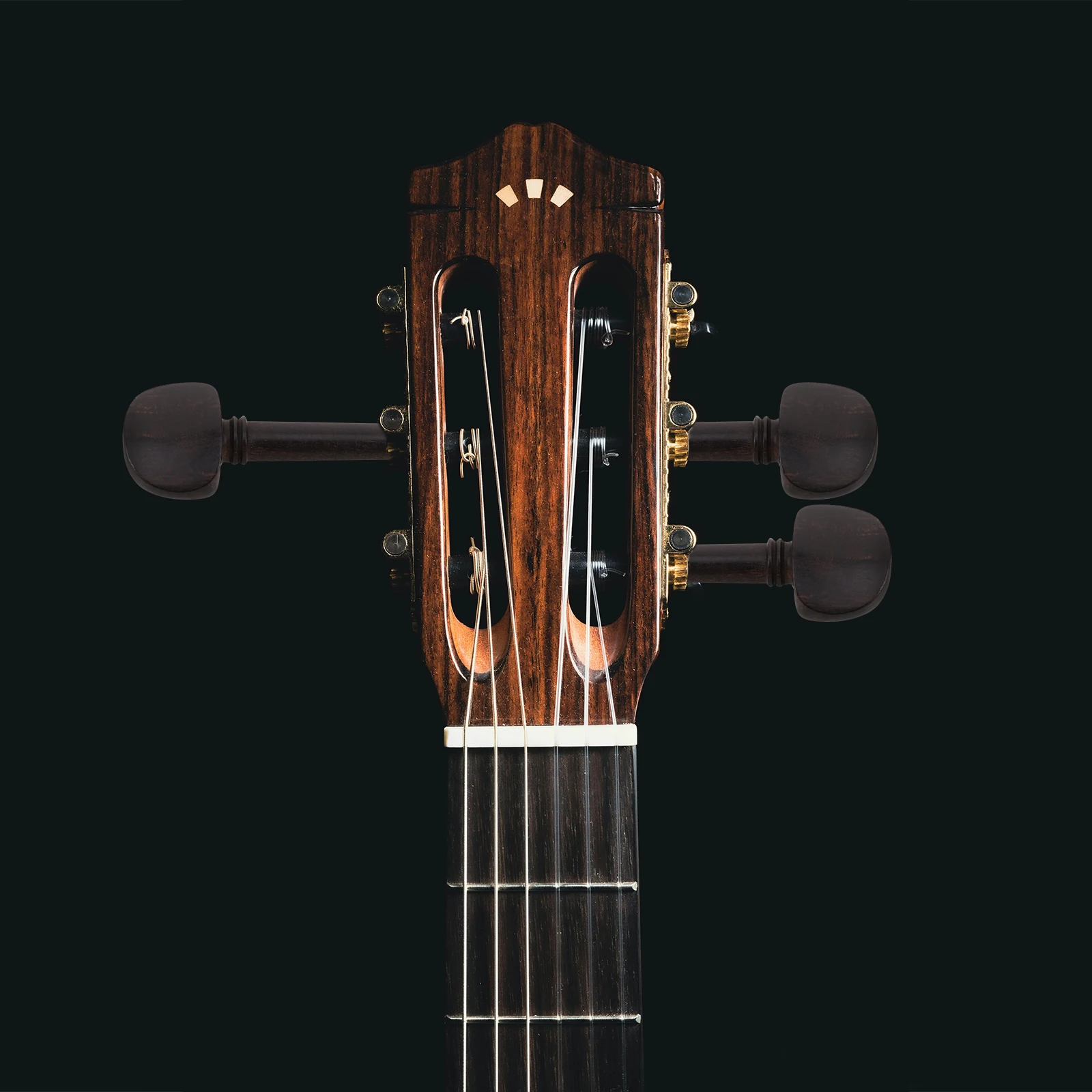 

4 Pcs Violin Tuning Nail Pegs for Professional Knob Shaft Tuners Replacement Black Guitar