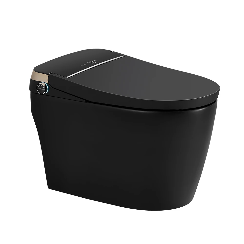 Floor Mounted Luxury Watermark Black Automatic Smart Toilet Good Price