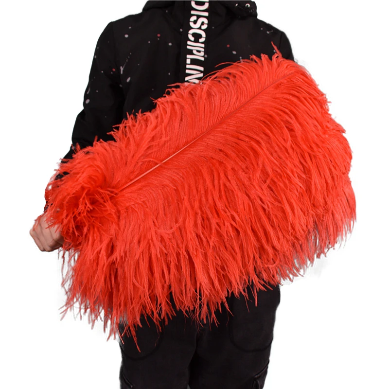 Red Ostrich Feather Plumes 15-70cm/6-28