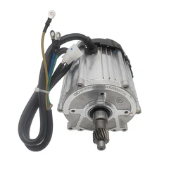 48V 60V 500W 800W 1000W Permanent Magnet Brushless Differential Motor for Electric Tricycle Electric Vehicle Universal