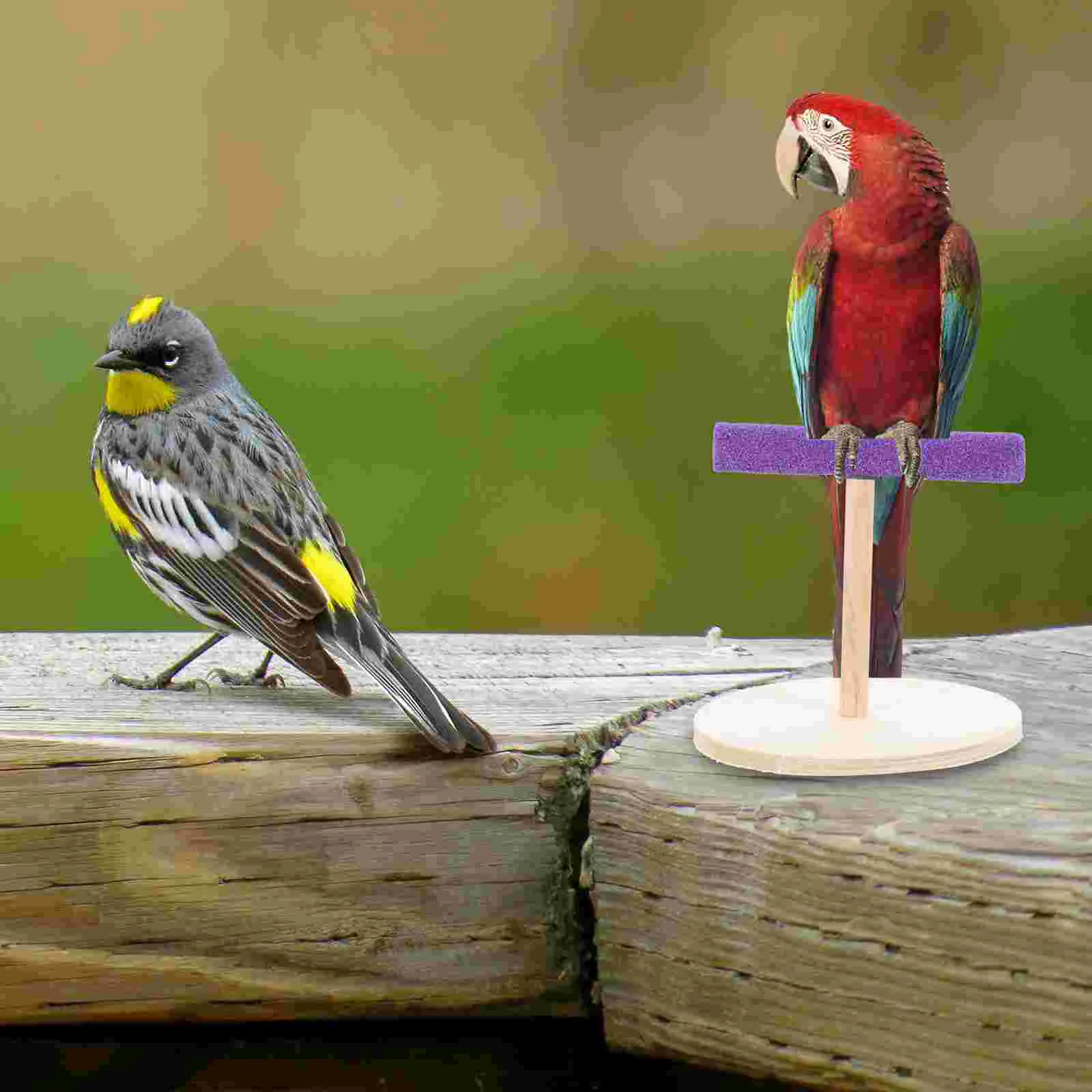 Parrot Stand Table Top Decor Bird Supply Wooden Plaything Accessory Office Perch Interesting Platform Decorative Toy