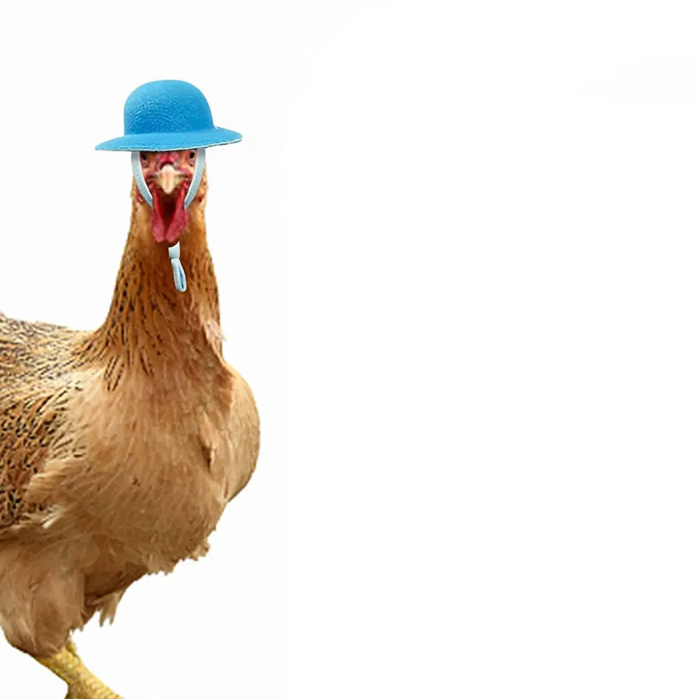 

8pcs Pet Chicken Hats Colorful Adjustable Accessories for Hens Parrots Ducks Festive Christmas Dog Hat Wear resistant