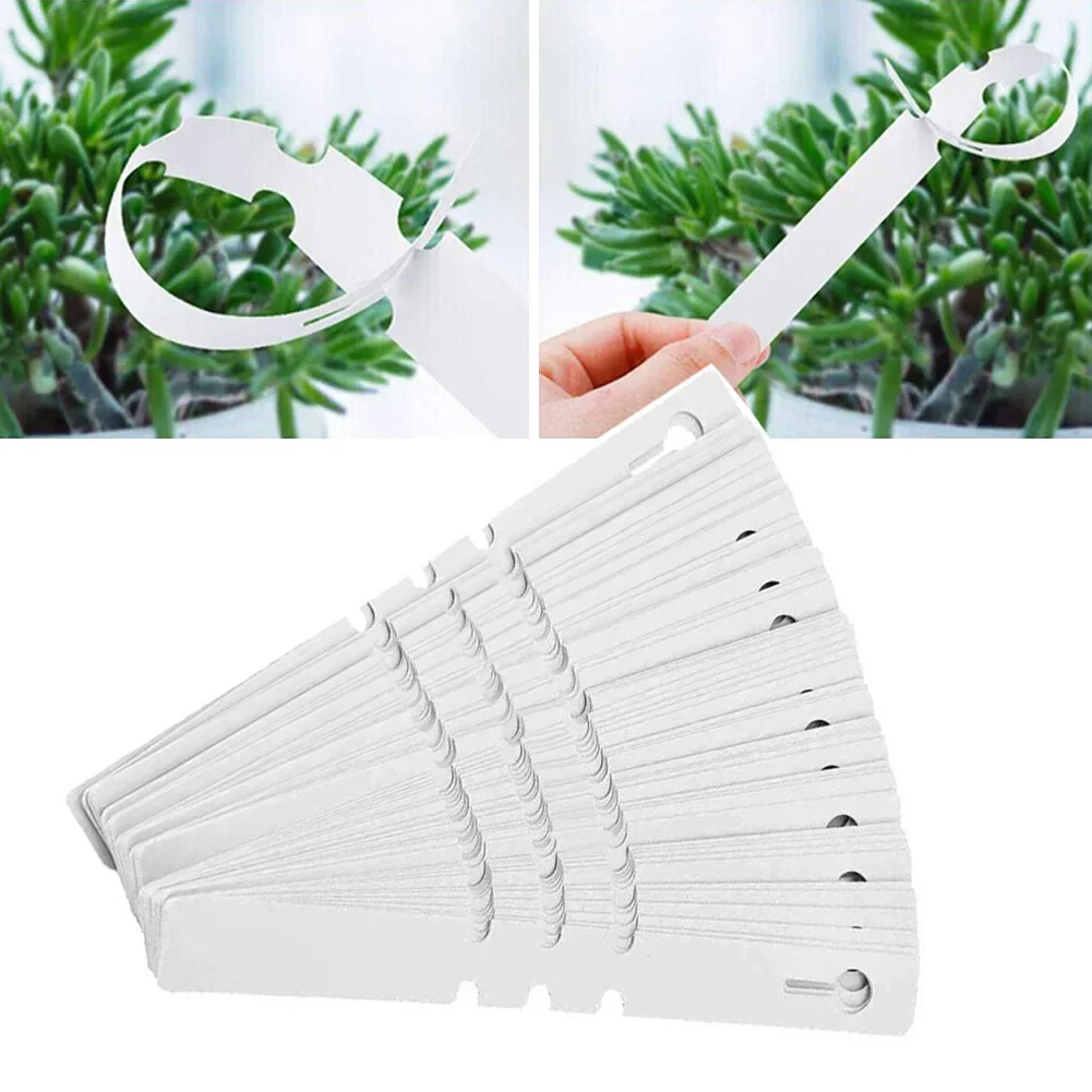 

200PCS Plant Labels Flexible PVC Plastic Tags Plants Marker Supplies For Greenhouses Nursery Stock Flowers Fruit Trees Potting