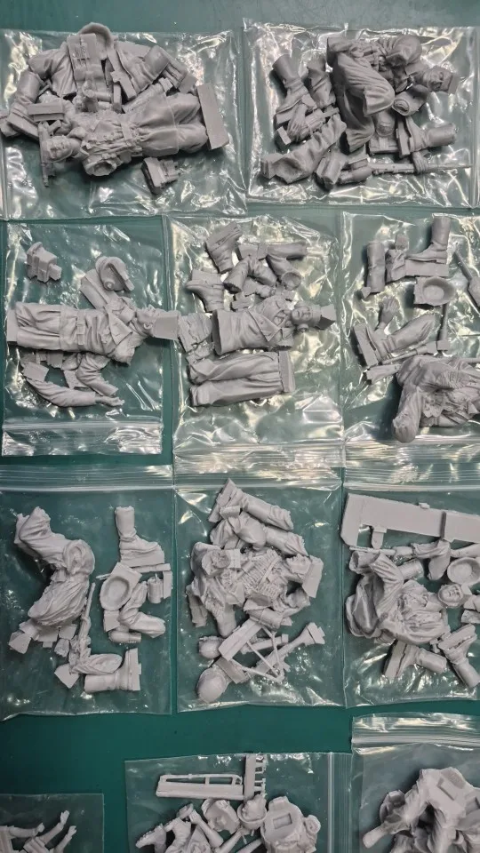 Buyer photo of this resin kit