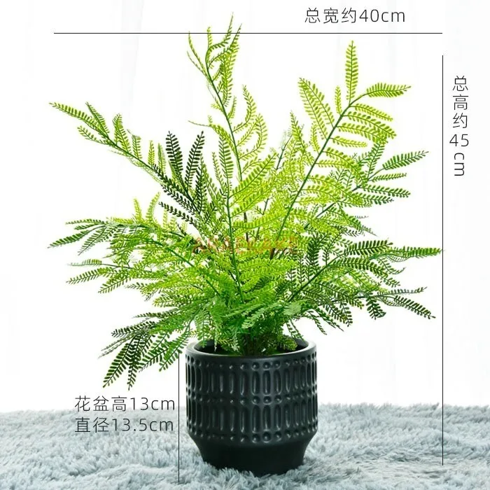 Living room simulation plant fern green plant decoration small potted plant desktop decoration