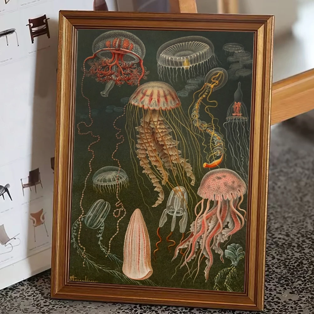 Vintage Jellyfish Oil Painting Aesthetic Wall Art, HD Canvas Print Poster, Suitable for, Home, Living Room, Studio Decoration