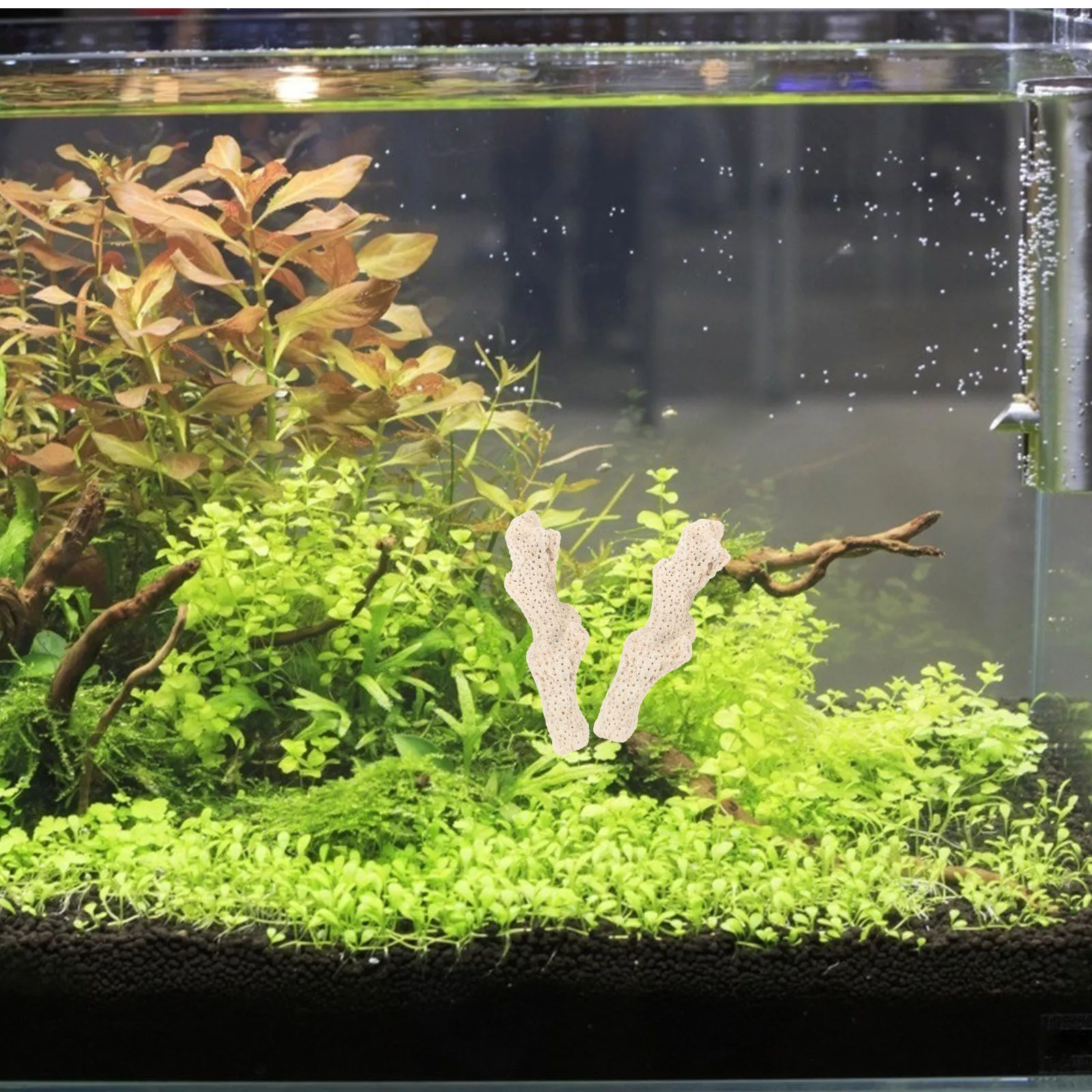 

1Set Natural Coral Filter Media Aquarium Fish Tank Filtration Material High-Density Water Cleaner for Freshwater Saltwater Pond