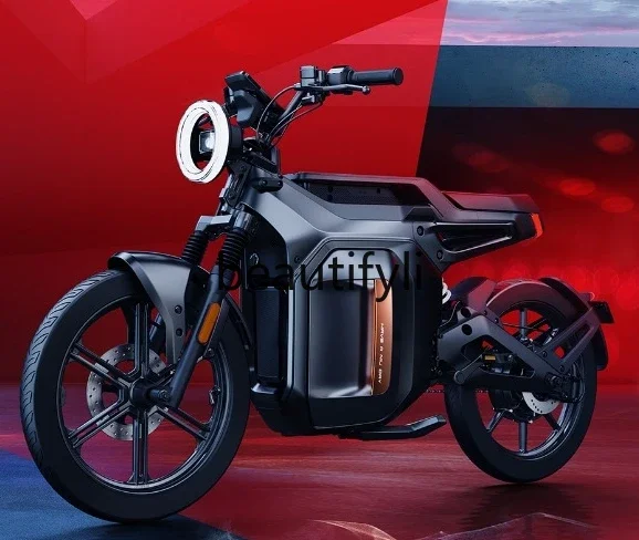 Z189 SQi lithium battery straddling new national standard smart battery car long-distance transportation bicycle