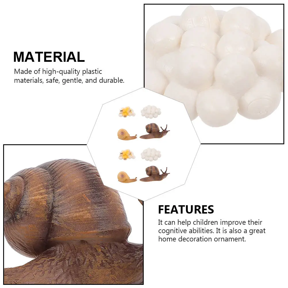 Juego de 2 ciclos de crecimiento de caracol, educativo de plástico de alta calidad para niños, desarrollo cognitivo, decoración del jardín del hogar, ciclo de vida