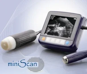 ( miniScan ) Farm  veterinary ultrasound system with ISO and CE certificates