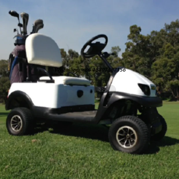 2000W Single Seat CE Certificate Electric Mini Golf Cart with Removable Steering Wheel  Top Roof