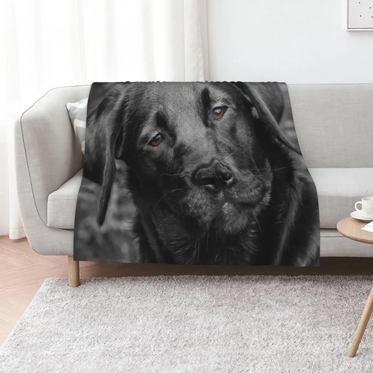 Black Labrador dog Throw Blanket Thermals For Travel Thin Furrys christmas gifts Decorative Throw Fashion Sofas Blankets