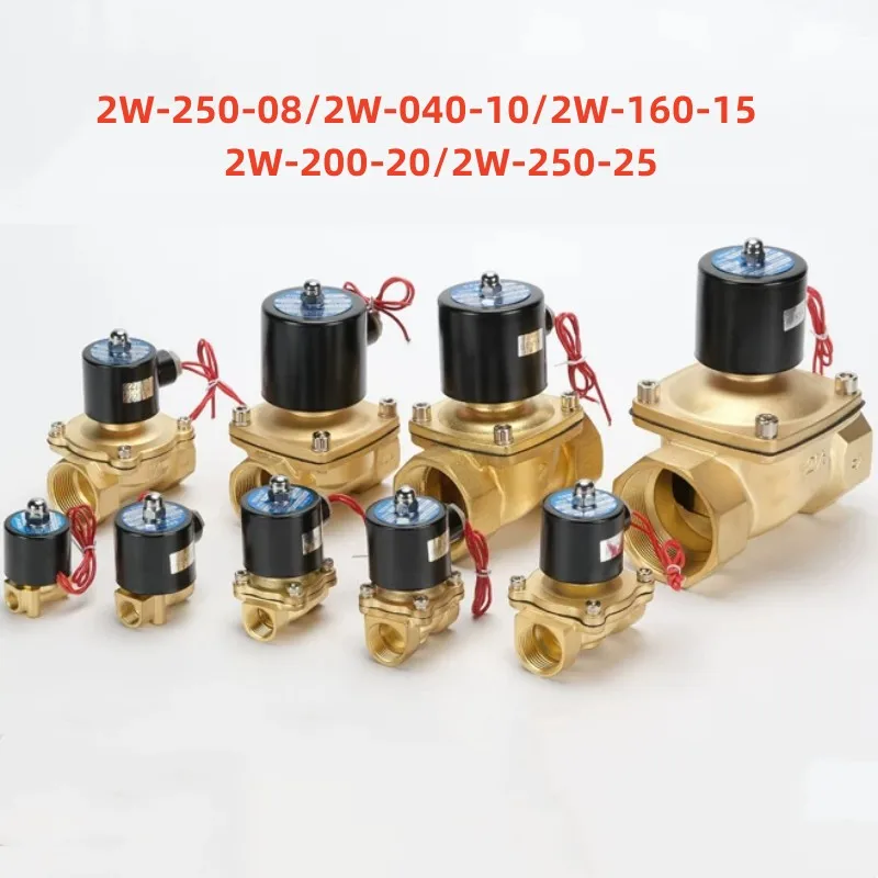 Normally Closed Solenoid Valve Copper Plated Water Valve 2W-025-08 2W-040-10 2W-160-15 2W-200-20 2W-250-25 AC220V DC24V DC12V