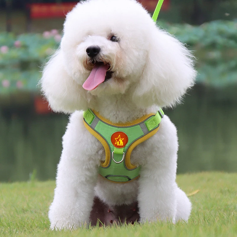 Conjunto de coleira ajustável para cães pequenos e médios, colete refletivo para filhotes de cachorro, cinta peitoral para caminhada ao ar livre