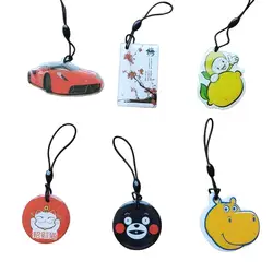 1 adet 125 Khz KIMLIK Karikatür Keyfobs Anahtarlık EM4305 T5577 Çip RFID Kart Boş Veri Yeniden Yazılabilir Anahtar Fobs Yakınlık Erişim Kontrolü