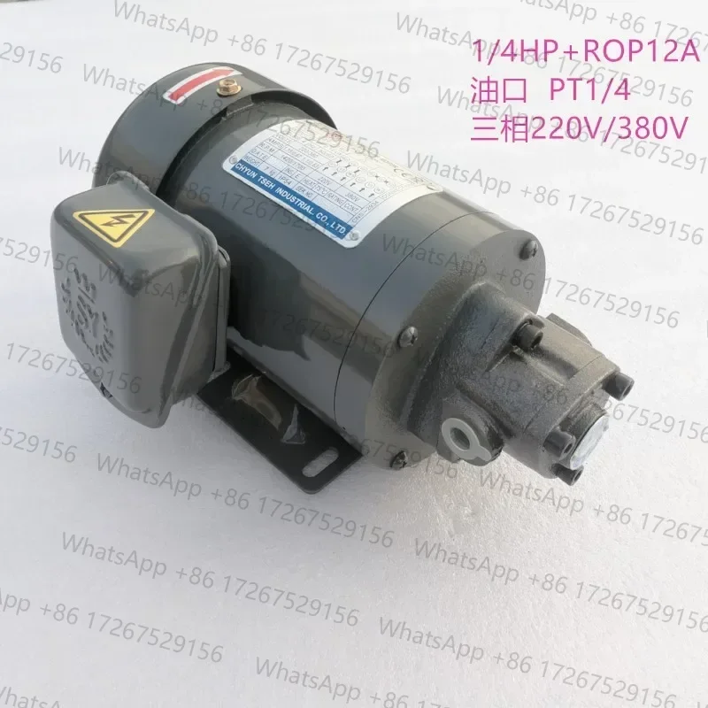 motor TOP-13A triangular oil pump 1/4HP-4P 0.19KW triangular pump 13A TOP-12A