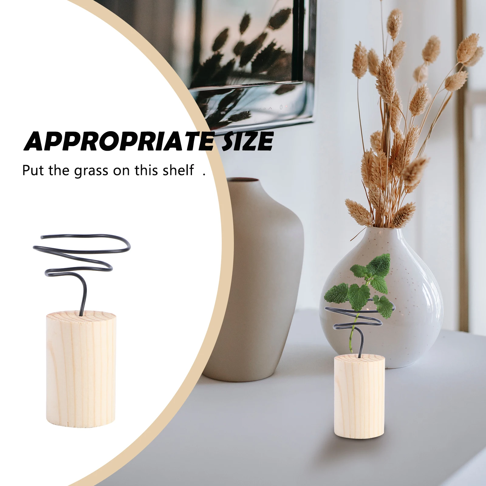 

5 Pcs Air Plant and Holder Pineapple Stand Desktop Display Bracket Planters Office