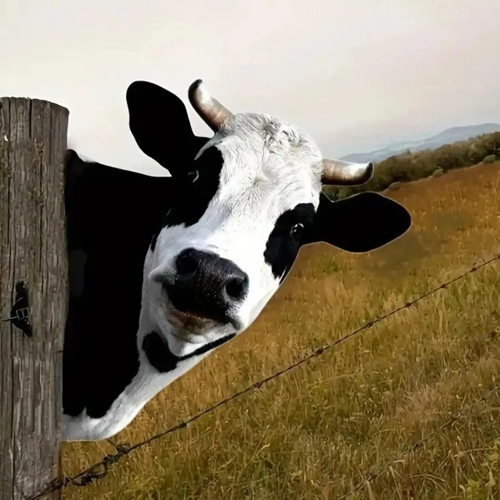 

Корова Yard Art Cute Peeking Cattle Yard Decor Dekoracyjna Metalalowa Grafika Peeping Cattle Farmhouse Animal Fence Art Dec