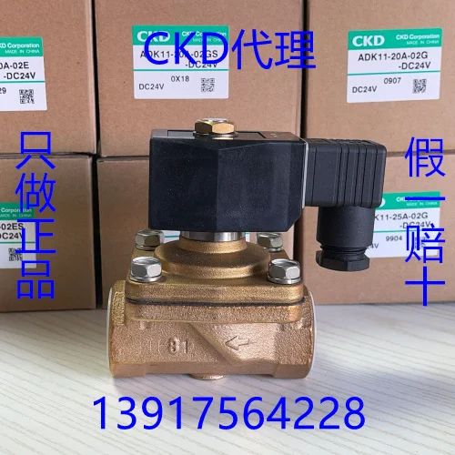 2025 Ckd Adk11-10A-…