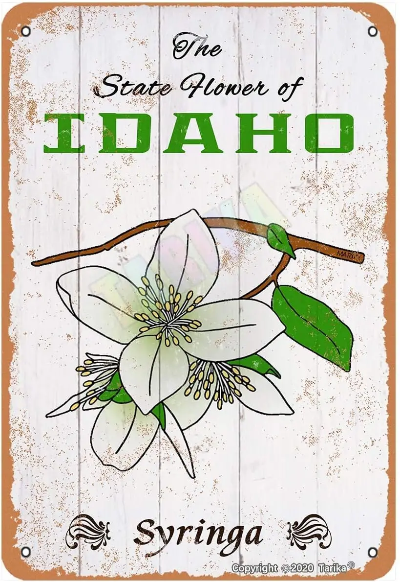 Государственный цветок сиринги из Айдахо для комнаты, спальни, ванной, сада, клуба, магазина, улицы, фермерского дома, металлический винтажный жестяной знак, Настенный декор