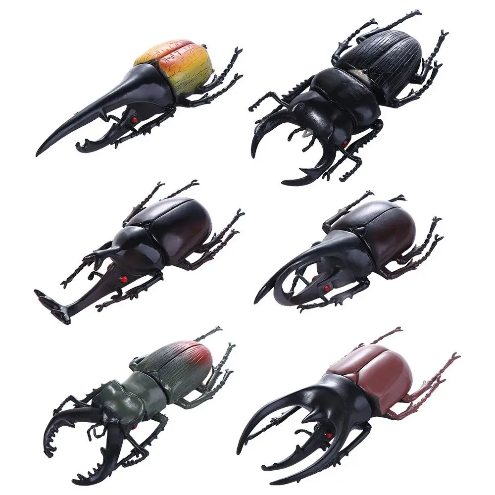

Non-Toxic Simulation Animals Kids Beetle Figures Fake Beetle Special Lifelike Model Insect Model Beetle Toys Simulation Beetle