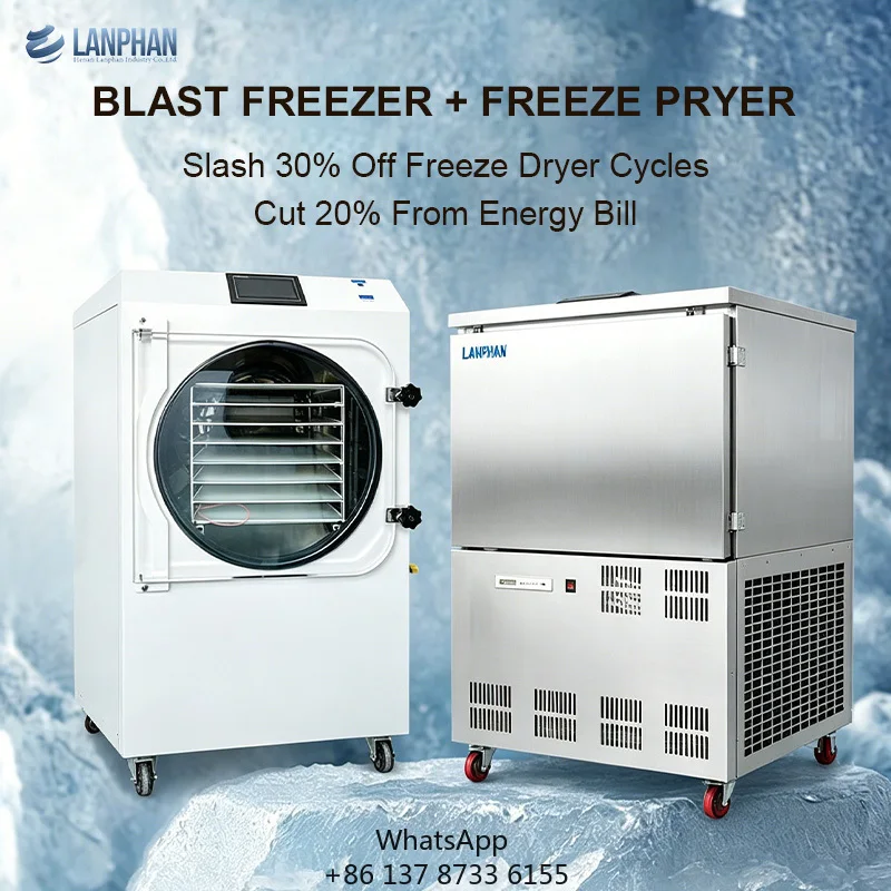 Home Use & Small Business Freeze Dryer HFD-25 29-30KG Capacity Blast Freezer Integrated Lyophilizer System