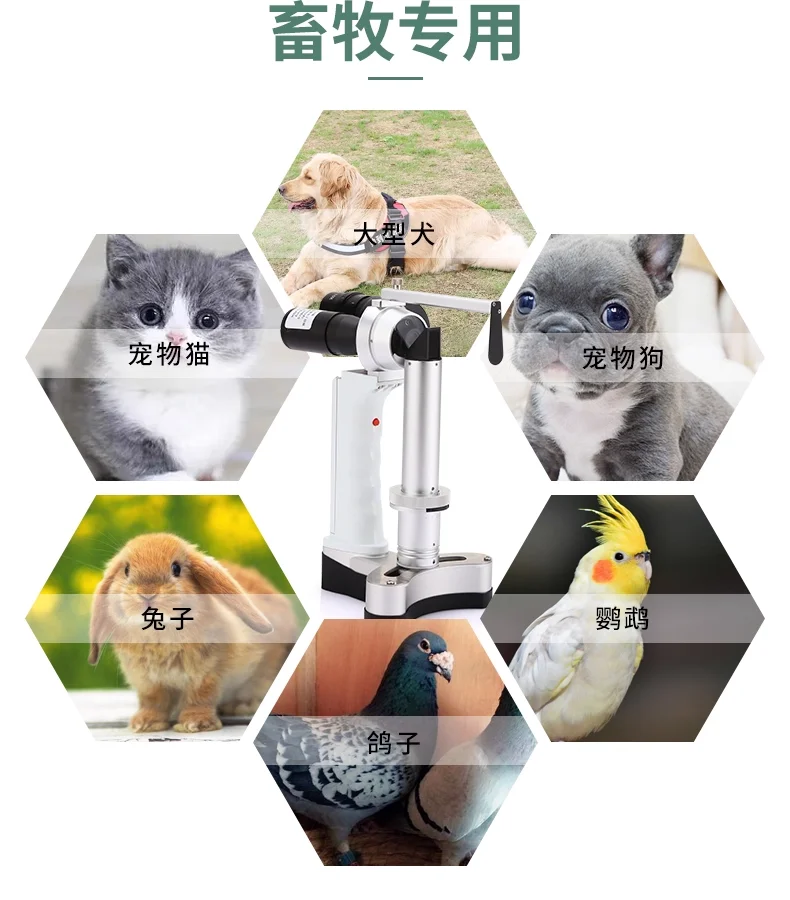 LYL-S Optical And Ophthalmic Slit Lamp Microscope Handheld LED Light Source Portable Microscope For Hospital Ophthalmology
