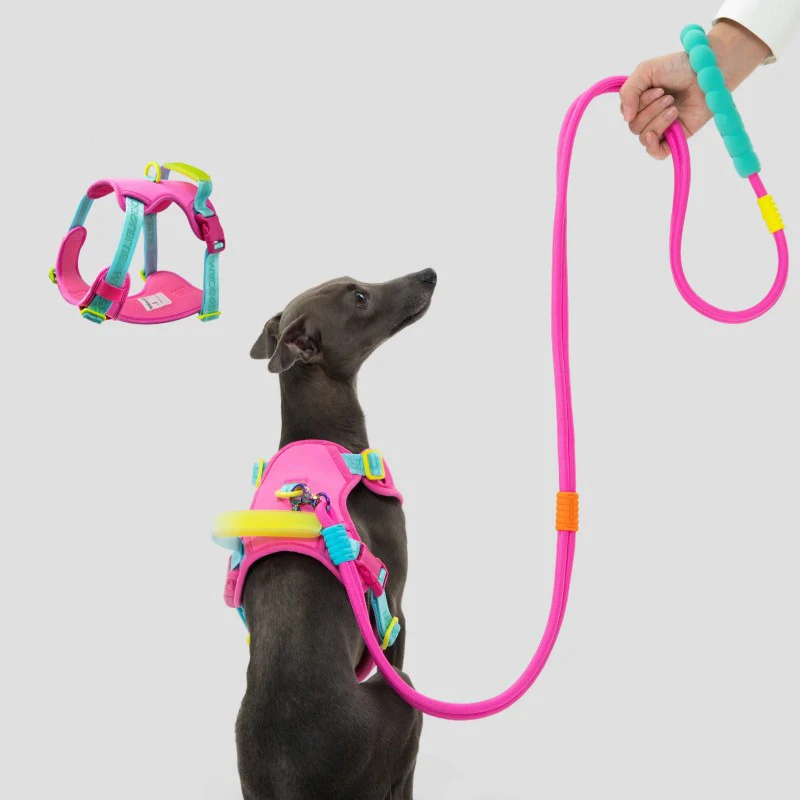 Candy Series Pet Leash NBR Foam Handle Dog Chest & Back Protection Anti-Exploding Multi-Functional Walking Accessory