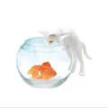 white cat goldfish