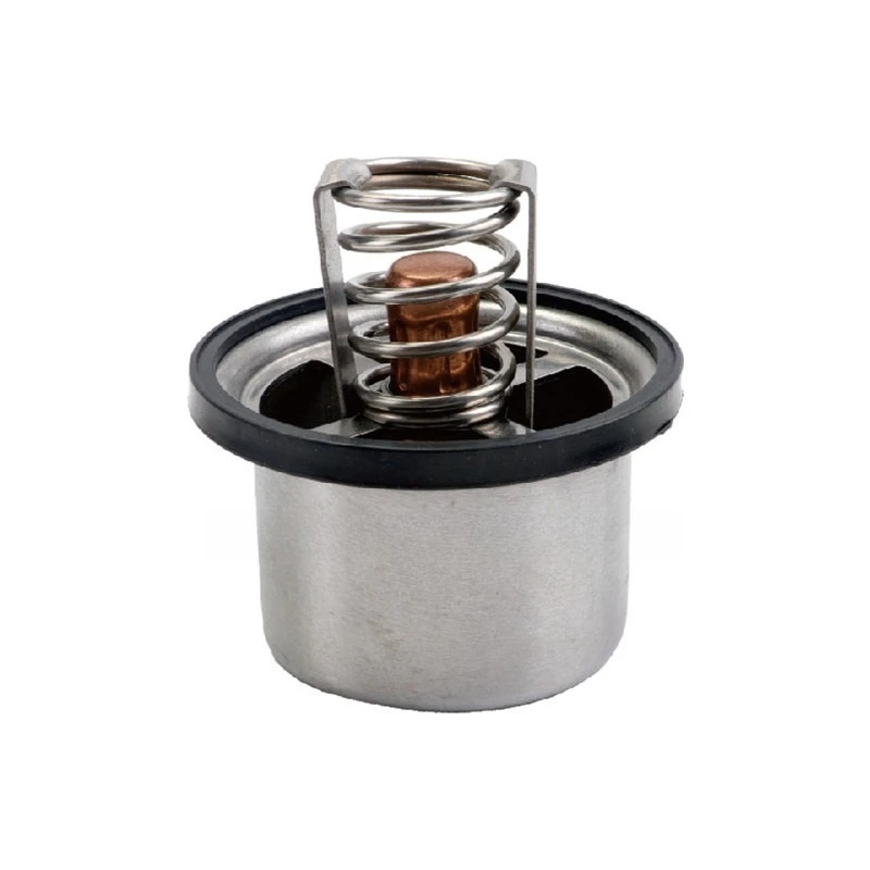 Engine Coolant Thermostat 8149186 8517857 16656944 1665694 1359961 for Volvo Truck D12 Engine Cooling System