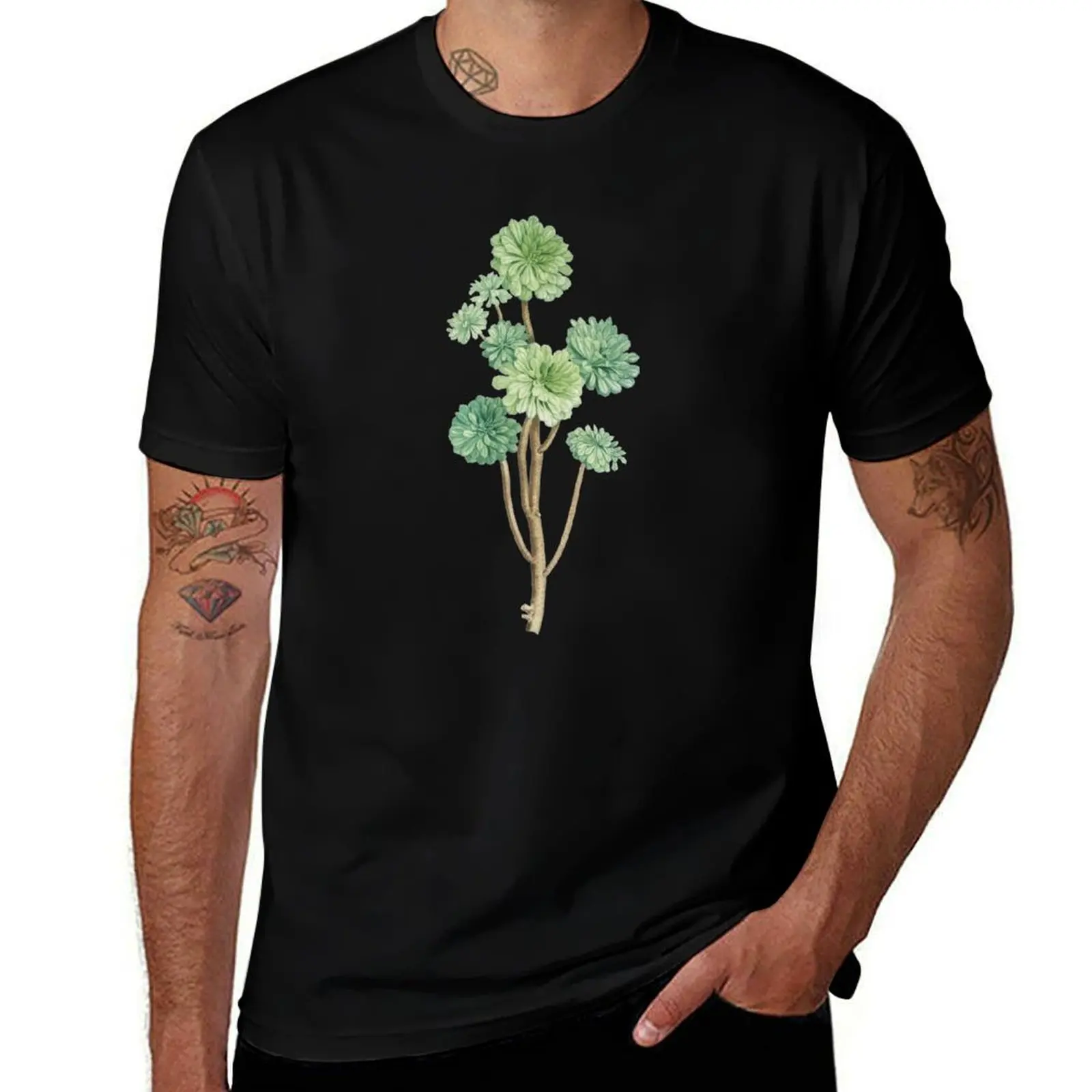 

Футболка Sempervivum Arboreum, мужская футболка из 100% хлопка, роскошные брендовые мужские футболки с рисунком, футболка
