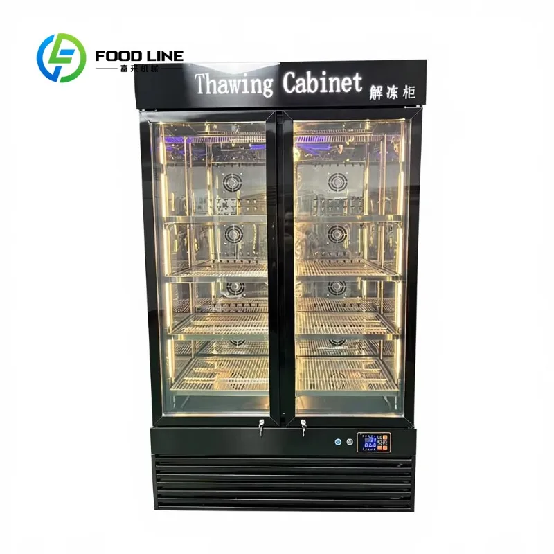 Electrostatic Meat Defroster Smart Thawing Cabinet for Commercial Use Efficient Defrosting Pork Lamb Beef Customizable