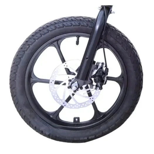 

Electric Bike Kit Front Wheel Drive Rim Disc Brakes Electric Bike Wheels and Lithium Battery Thumb Throttle