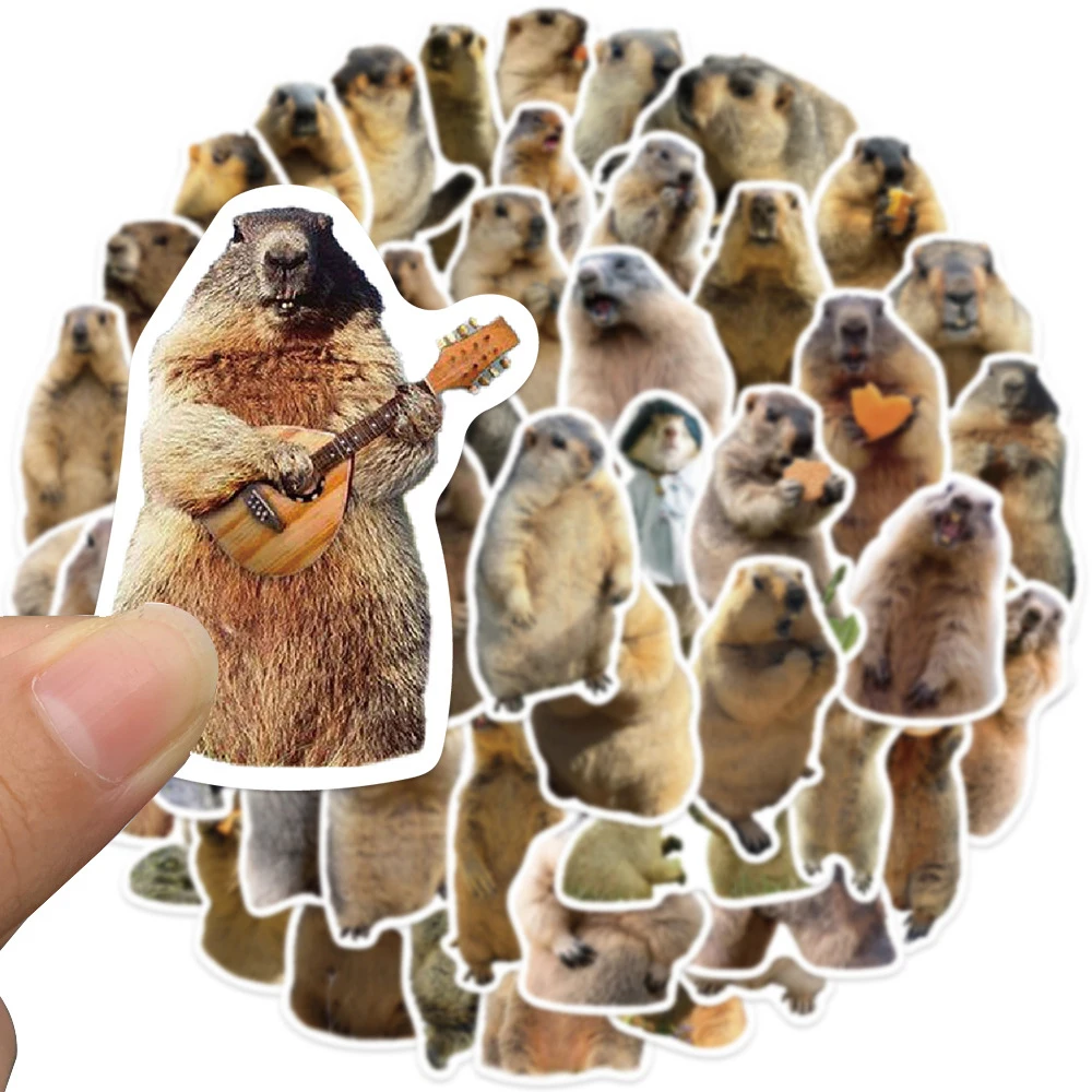 10/30/50 pçs animal bonito marmota meme graffiti adesivos engraçado decalques decoração telefone portátil garrafa de água adesivo para crianças brinquedo