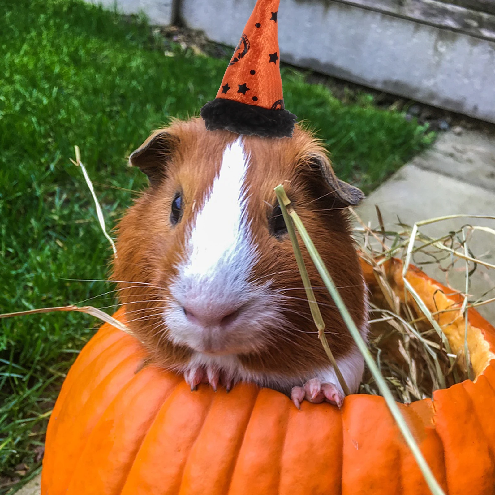 

Halloween Pet Hat Rabbit Headwear Decorative Fashion Costume Party Headdress Lightweight Easy Wear Small Size Suitable Pets