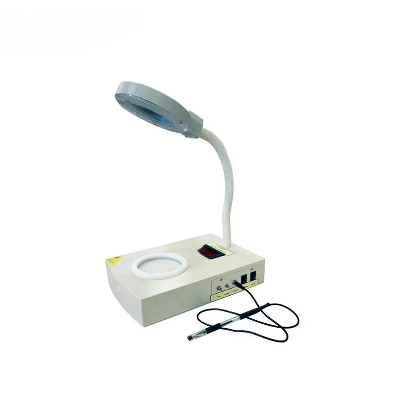 L Bacterial Colony …