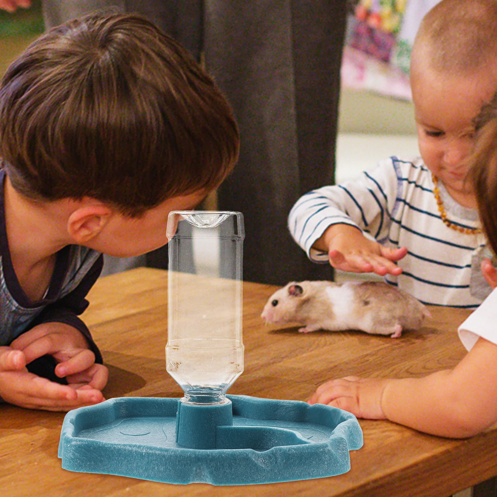 

Automatic Reptile Water Feeder Food Grade Plastic Sky Blue Bowl Ramp Design Easy Clean Pet Supplies Turtle Lizard Bearded Dragon