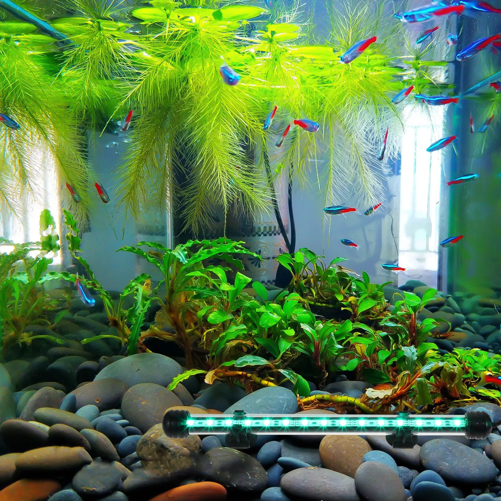 

Aquarium LED Light Fish Tank Submersible Lighting Acrylic Material Durable Suction Cup Fixing Easy Install Fish Tank LED Lamp